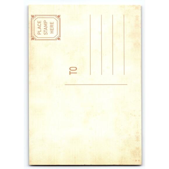 Vintage Halloween Postcard with Raven and Pumpkins - Photochrome 5.5x4 - Picture 2 of 2